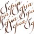 Sepia Calligraphy Ink van Winsor & Newton 30 ML Kleur 609_